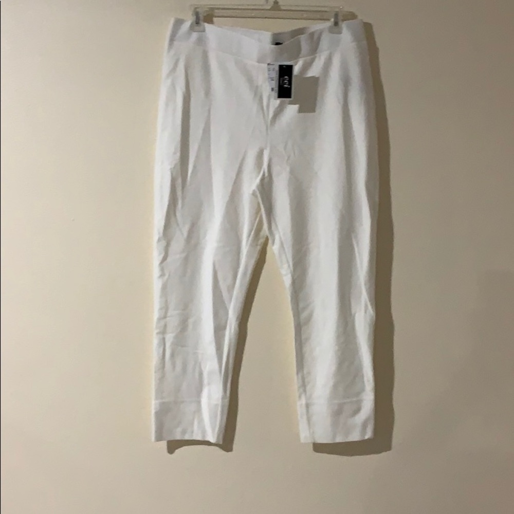 Women’s plus size pants 2X